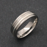 Titanium Ring - Silver Shebitku